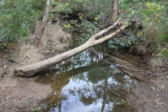Down stream
