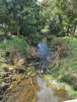 View from road culvert looking north over sampling site