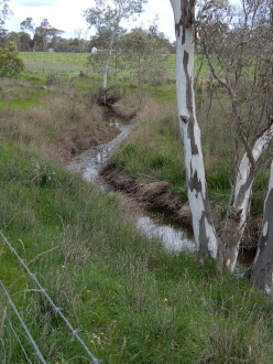 taken on 13/09/2025 showing water in the channel 500m north of Stewart's lane