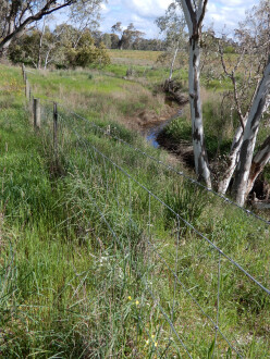 taken on 3/10/2025 showing water in the channel which is 500m north of Stewarts lane