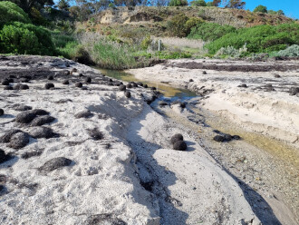 Griggs Creek flow to the bay