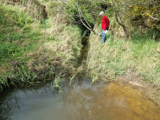 Coronae Easement upstream