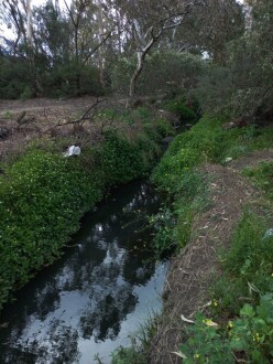 Stony Creek Cruickshank Park, Yarraville, downstream