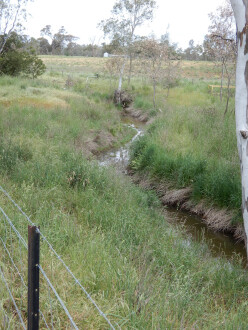 taken on 4/11/2025 showing water in the channel which is 500m north of Stewarts lane