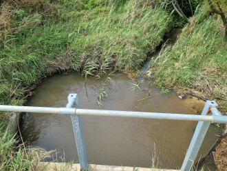 Coronae Dr sampling site