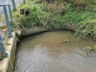 Coronae Dr sampling site