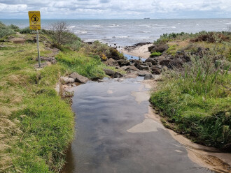 Corronae Dr downstream, Creek outlflow into the bay