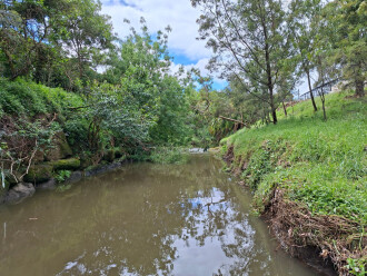 Upstream from sample point. Levels had clearly been higher