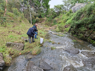 Downstream from sample point. Macroinvertebrate survey: one segmented worm found