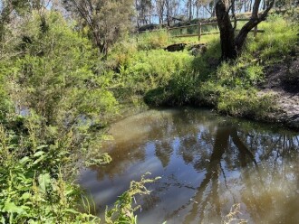 Looking towards pipe outfall