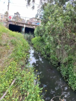 Stony Creek, Cruikshank Park, upstream