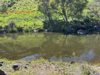 NC-TUL300.  A bit further upstream from last two testings due to summer snakes and long grass.