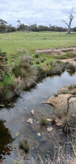 TEA 030 Nov 27th 2025