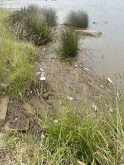 This was one of the worst days (for rubbish) that we have seen so far. :(