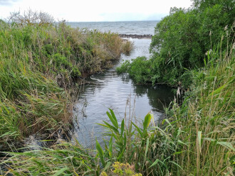 Griggs Creek, downstream
