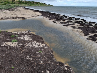 Griggs Creek, sandbar at outflow
