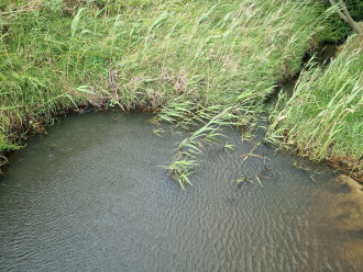 Coronae sampling site, upstream view