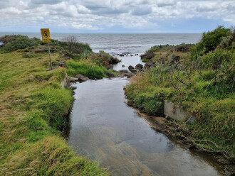 Coronae, downstream view