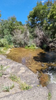 Island forming mid stream since 2024 flood