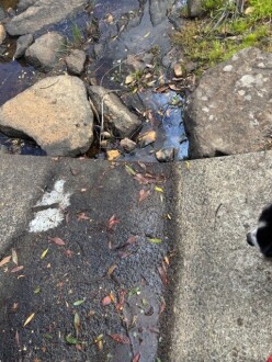 Oily scum downstream of site and crossing