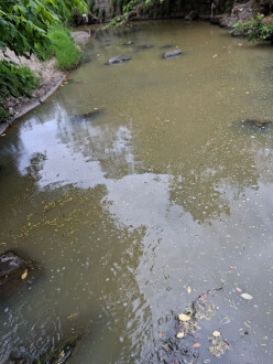 Upstream at usual measuring point