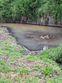 Turbidity at Back Creek Reserve