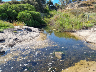 Griggs Creek at bay end