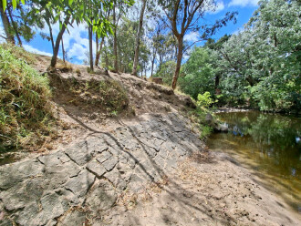 Nettleton Park Bank erosion arising from foot traffic (dogs and... water monitors) as well as vegetation loss some years ago. loss