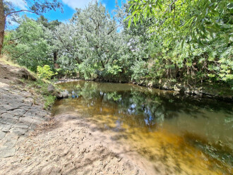 Gardiners Creek, showing 'beach', pool, and upstream riffle
