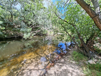 Gardiners Creek, showing pool and downstream riffle.