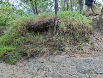 Undercutting from times of high stream flow