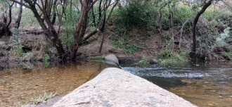Test sample collection area on left