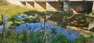 Minimal flow in creek which is very shallow. Significant growth of weeds/vegetation since last site visit