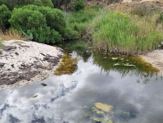 Griggs Creek, Bay end