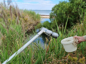 Griggs Creek water sampling site