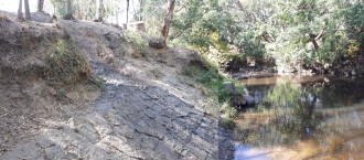 Composite image showing erosion of bank from Nettleton Park (primarily from dog traffic)