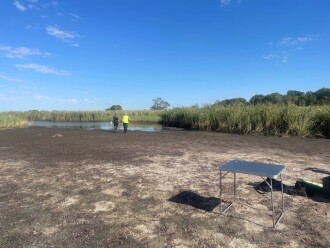 Wetland almost dry