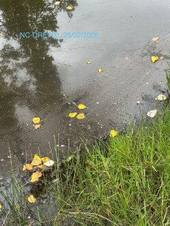 NC-CRE700. Oily scum widespread mostly along banks.  Sitting there, no flow.