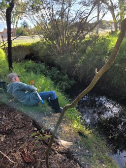Irwin Junkes at Dingley Drain