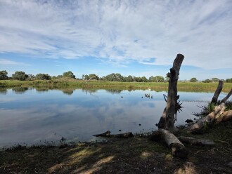 Braeside Park Wetlands