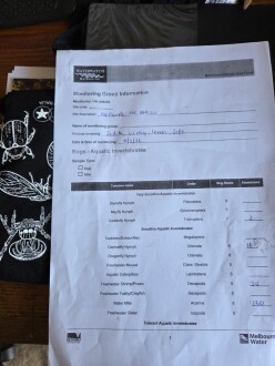 Braeside Park Bugs Count