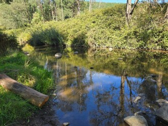 upstream