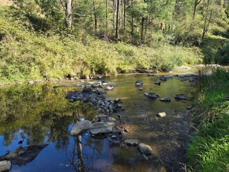 downstream