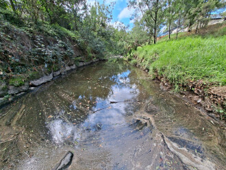 Frothy scum gathering at rocks. Seemed natural.