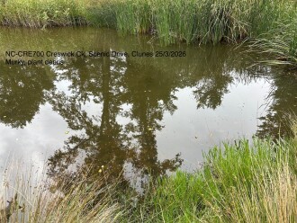 Murky water with lots of plant debris.   3.4mm rain earlier in week.