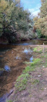 Looking towards sample area