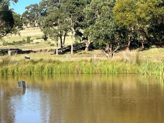 Looking across to opposite bank