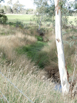 Water in channel 500m north of Stewarts lane