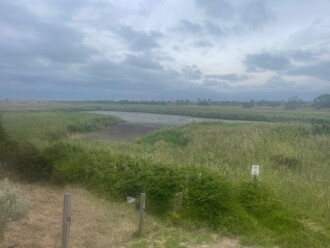 Looks like water in the distance but its acually mud