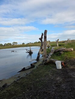 water has increased since last month